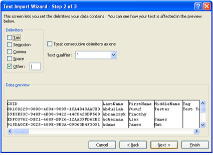 Text Import Wizard - Other